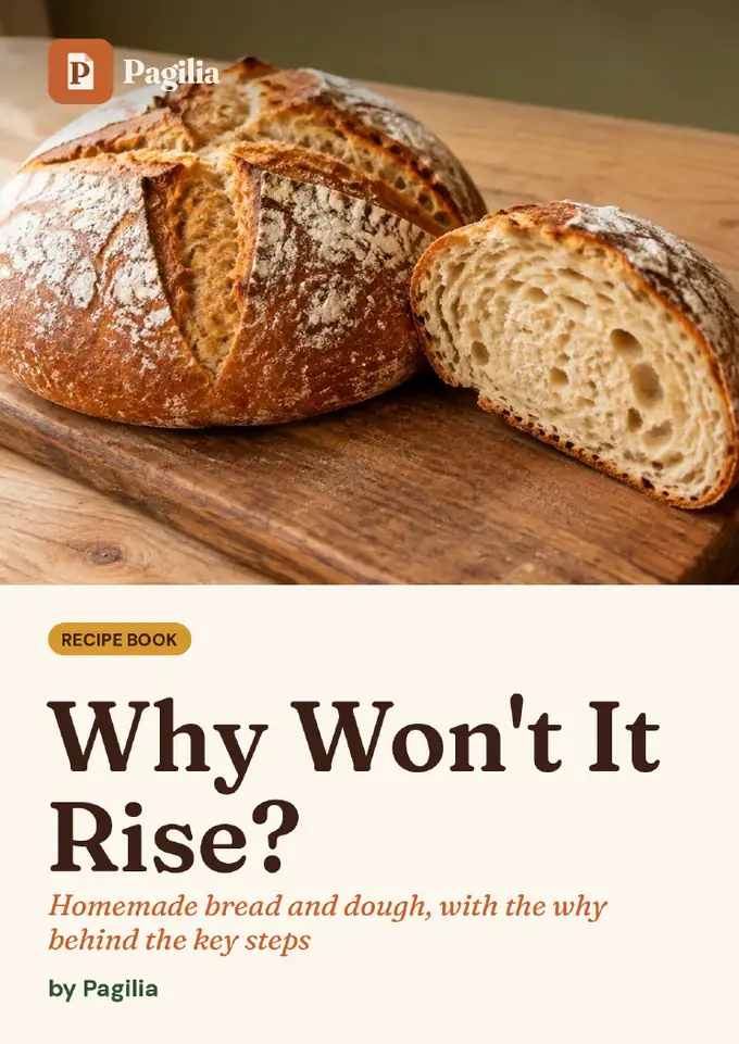 Cover of Why Won't It Rise?