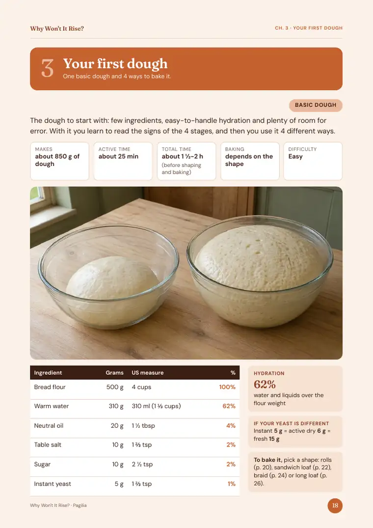 Real page from Why Won't It Rise?: Your first dough, step by step.