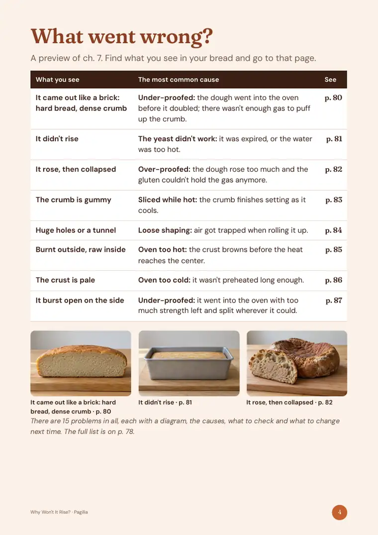 Real page from Why Won't It Rise?: Find what you see in your bread.